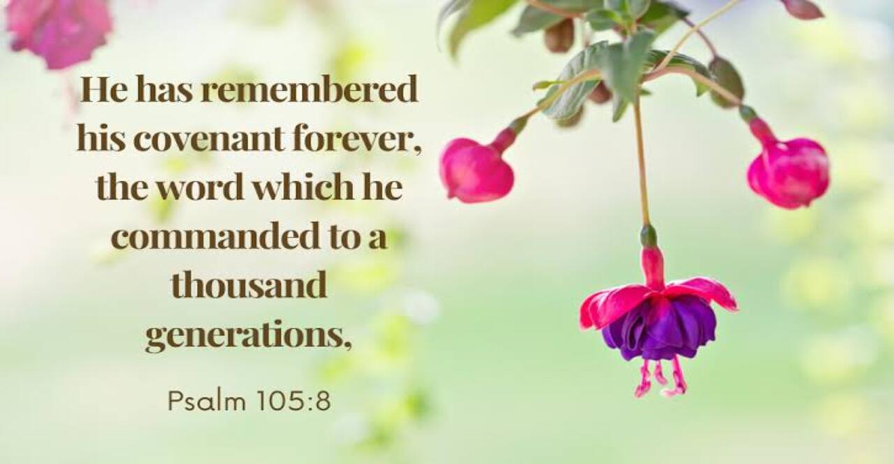 God Remembers His Covenant Forever!