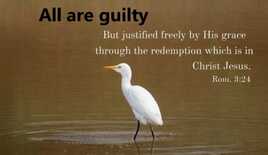 All are guilty! Receive Free Justification from God!