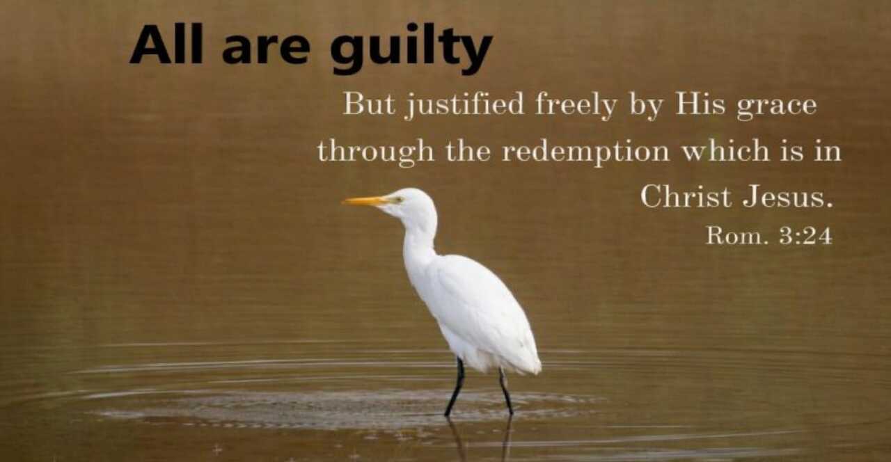 3- All are guilty! Receive Free Justification from God!
